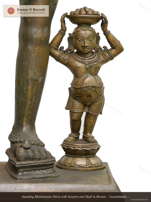 Standing Bhikshatana Shiva with Serpent and Skull in Bronze – Swamimalai, Tamil Nadu