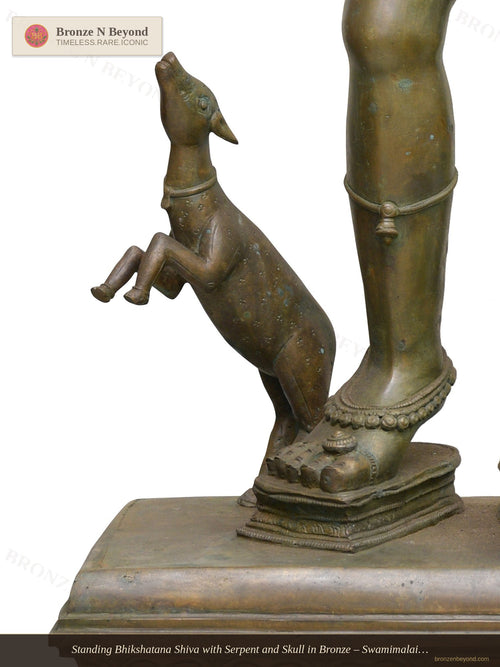 Standing Bhikshatana Shiva with Serpent and Skull in Bronze – Swamimalai, Tamil Nadu