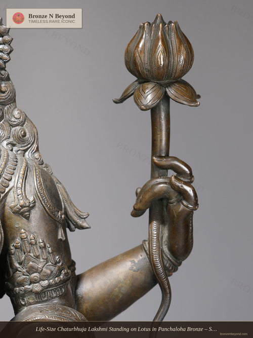 Life-Size Chaturbhuja Lakshmi Standing on Lotus in Panchaloha Bronze – Swamimalai, Tamil Nadu
