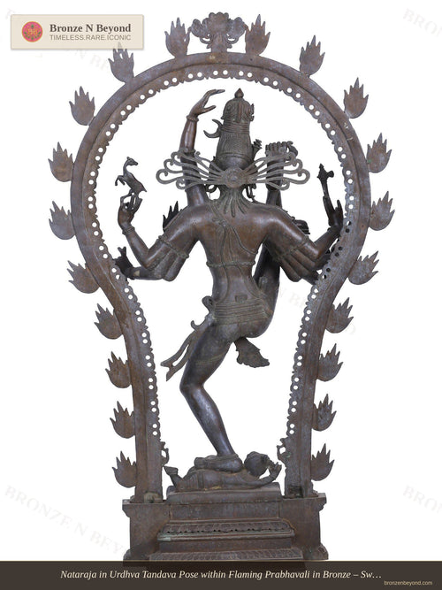 Nataraja in Urdhva Tandava Pose within Flaming Prabhavali in Bronze – Swamimalai, Tamil Nadu
