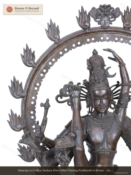 Nataraja in Urdhva Tandava Pose within Flaming Prabhavali in Bronze – Swamimalai, Tamil Nadu