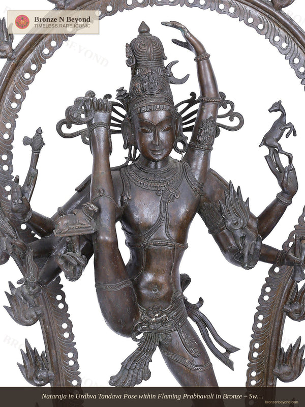 Nataraja in Urdhva Tandava Pose within Flaming Prabhavali in Bronze – Swamimalai, Tamil Nadu