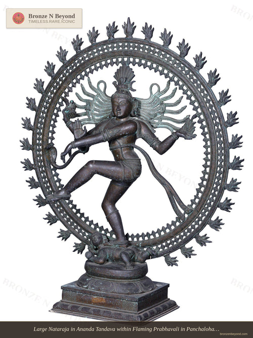 Large Nataraja in Ananda Tandava within Flaming Prabhavali in Panchaloha Bronze – Swamimalai, Tamil Nadu