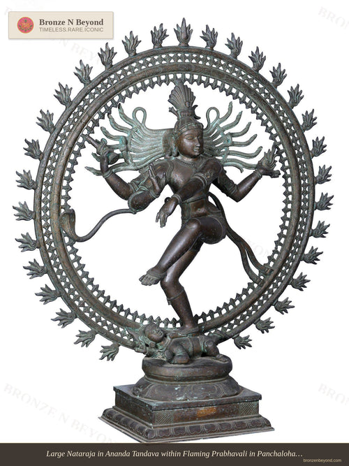 Large Nataraja in Ananda Tandava within Flaming Prabhavali in Panchaloha Bronze – Swamimalai, Tamil Nadu