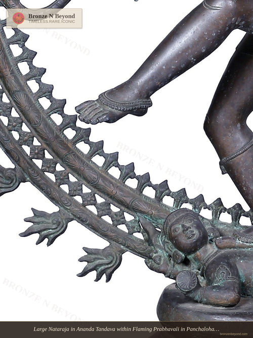 Large Nataraja in Ananda Tandava within Flaming Prabhavali in Panchaloha Bronze – Swamimalai, Tamil Nadu