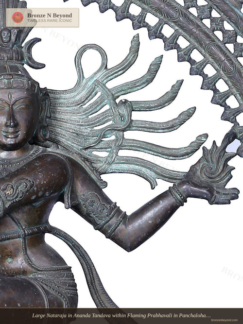 Large Nataraja in Ananda Tandava within Flaming Prabhavali in Panchaloha Bronze – Swamimalai, Tamil Nadu