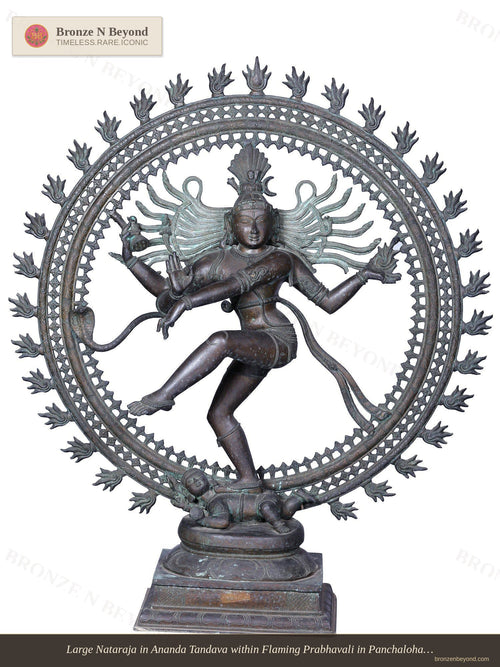 Large Nataraja in Ananda Tandava within Flaming Prabhavali in Panchaloha Bronze