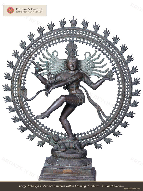 Large Nataraja in Ananda Tandava within Flaming Prabhavali in Panchaloha Bronze
