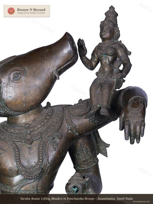 Varaha Avatar Lifting Bhudevi in Panchaloha Bronze – Swamimalai, Tamil Nadu