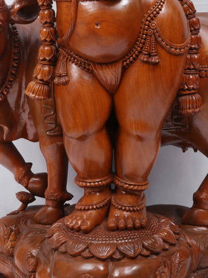55" Masterpiece of Venugopala with Cow (Lord Krishna Playing Flute) | Teakwood Statue fot Temple