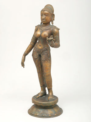 Classical Chola Style Rama Darbar with Rama, Sita, Lakshmana and Hanuman in Panchaloha Bronze – Swamimalai, Tamil Nadu