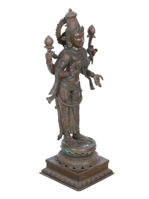 Four-Armed Lakshmi Standing on Double Lotus in Panchaloha Bronze – Swamimalai, Tamil Nadu