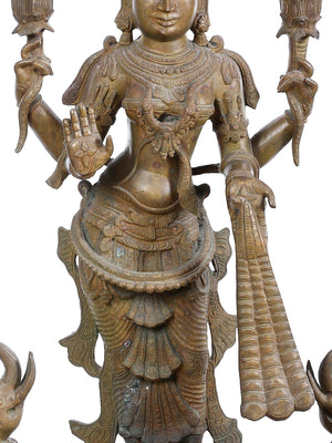 Gajalakshmi Standing with Lotus and Elephants in Bronze – Swamimalai, Tamil Nadu