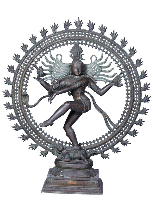 Large Nataraja in Ananda Tandava within Flaming Prabhavali in Panchaloha Bronze