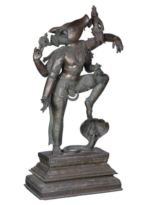 Varaha Avatar Lifting Bhudevi in Panchaloha Bronze