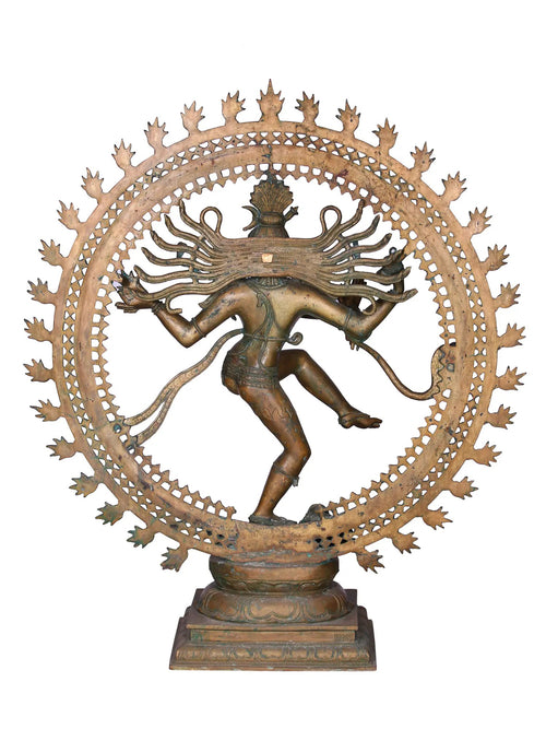 Shiva - Nataraja in Panchaloha Bronze with Aureole